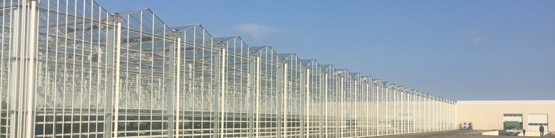 Project Baku Agro Park - Azerbaijan