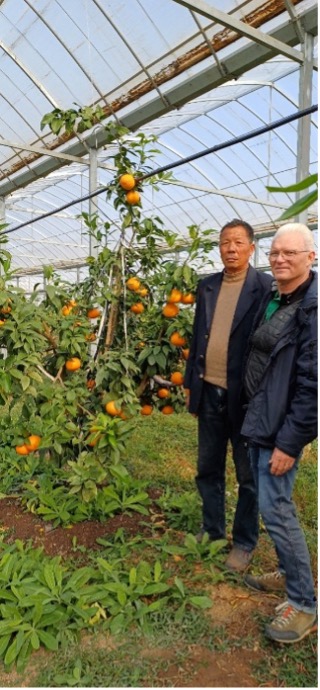 Project Chong Ming – YouYou Group, Shanghai China