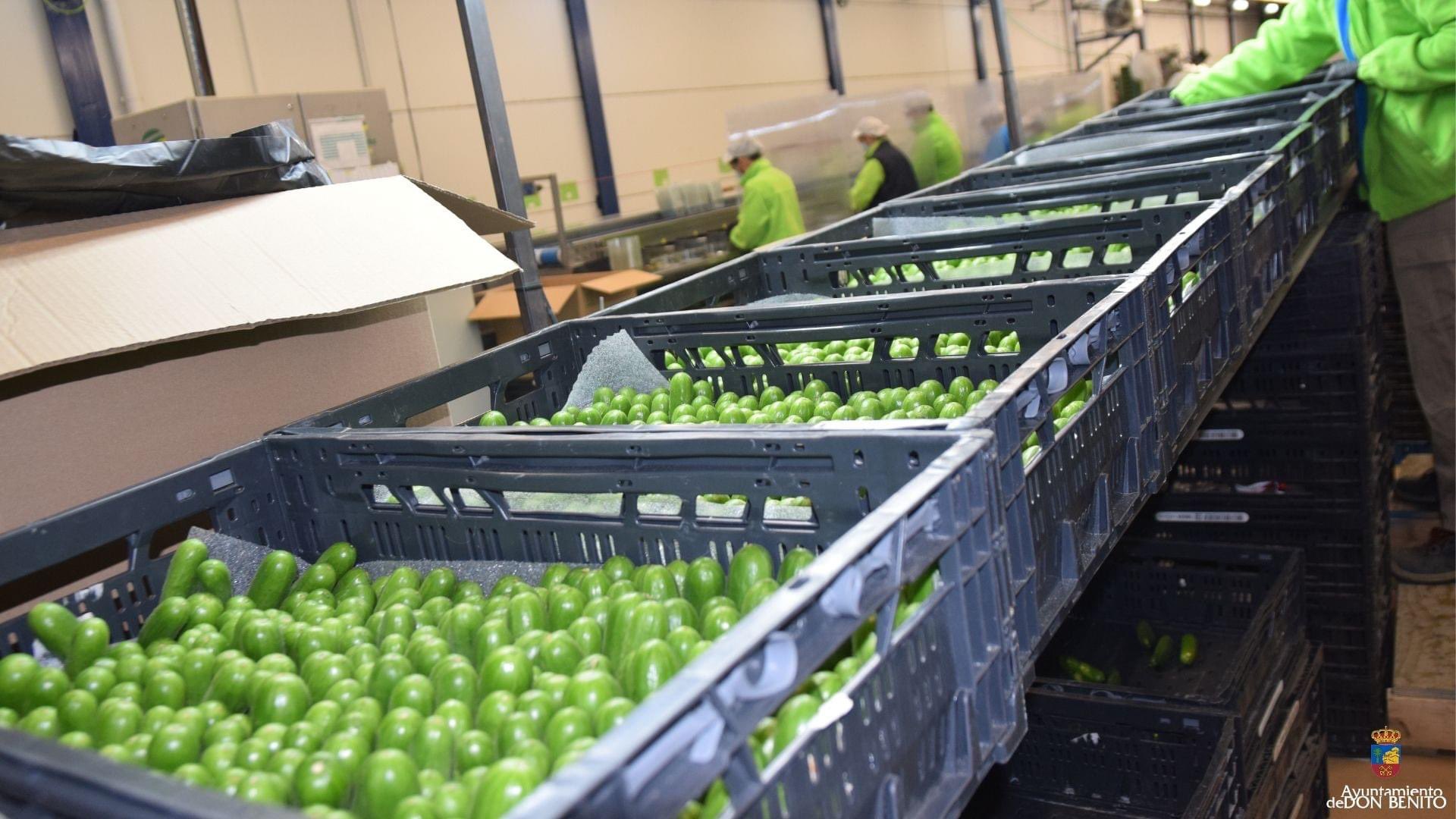 Project  Finca Boyal – Spain